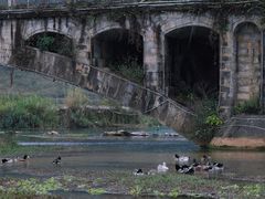 -靖西鹅泉风景区