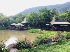 -呀诺达热带雨林