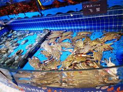 -乔哥铭洋海鲜自助(皇城恒隆广场店)