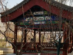 -西海子公园