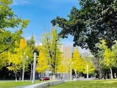 -四川大学(望江校区)
