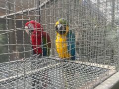 -南宫五洲植物乐园