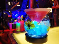 -甜喵酒吧(茂业店)