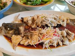 -博雅渔港·融合菜(维也纳国际大酒店)