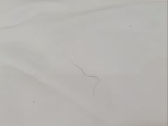 -锦上四季酒店(成都东站店)