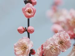 -北京明城墙遗址公园