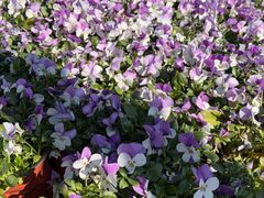 -西安唐皇城墙含光门遗址博物馆