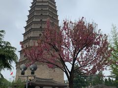 -法门文化景区