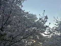 -杭州少年儿童公园