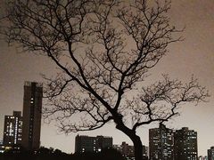 -黄兴公园