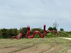 -杭州湾海上花田景区