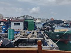 -蓝湾碧波·老字号·疍家非遗海上餐厅