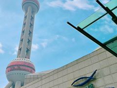 -上海海洋水族馆