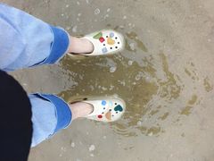 -天鹅湖体育公园