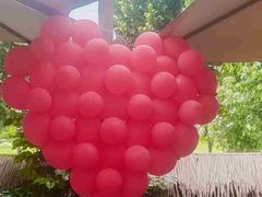 -后湖小院·乡野田园菜