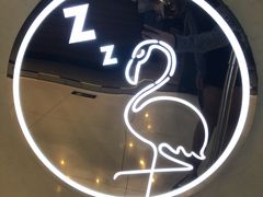 -狐狸和向日葵(北京路店)