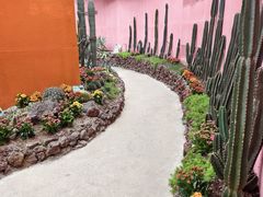 -正佳雨林生态植物园