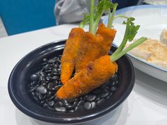 -丁老爷子苏香圆