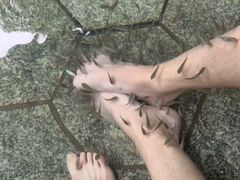 -明月山天沐温泉度假村