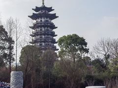 -洋湖国家湿地公园