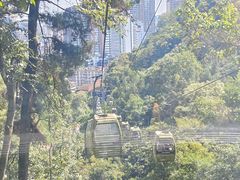 -黔灵山公园