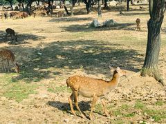-西安秦岭野生动物园