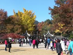 -木渎影视城