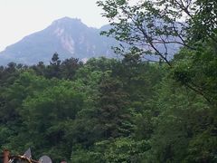 -木兰云雾山