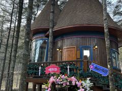 -洛阳白云山景区