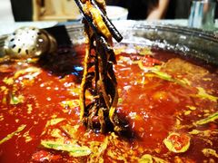 极品黑千层-五里关火锅(牛市口店)