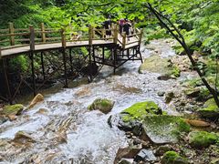 -本溪汤沟绿石谷森林公园
