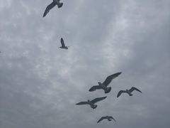-刘公岛景区