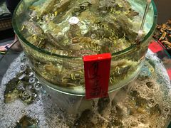 -强记海鲜·大排档(蛇口新街店)