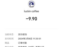 -瑞幸咖啡(江汉路中山大道店)