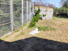 -济南野生动物世界