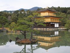 -豆政(金閣寺境内売店)