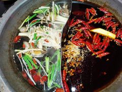 宽板凳菌汤鸳鸯锅-宽板凳老灶火锅(南礼士路店)