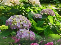 -常州古运河南大街文化旅游区-人民公园