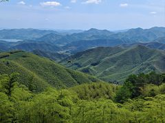 -莫干山风景区
