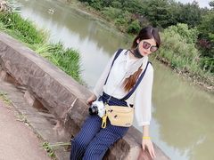 -白鹭湾湿地公园