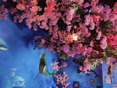 -白鹿仓冰雪海洋世界