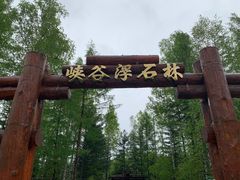 -峡谷浮石林景区