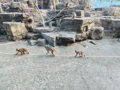 -宁波野生动物园