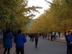 iphone_upload_pic-辽宁大学(崇山校区)