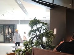 -老头儿油爆虾(金沙印象城店)