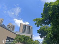 -四川大学博物馆
