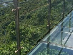 -海南白石岭旅游区