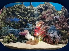 -欢乐海岸海洋奇梦馆