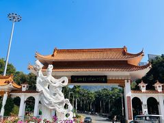 -深圳仙湖植物园