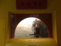 -美国自然历史博物馆